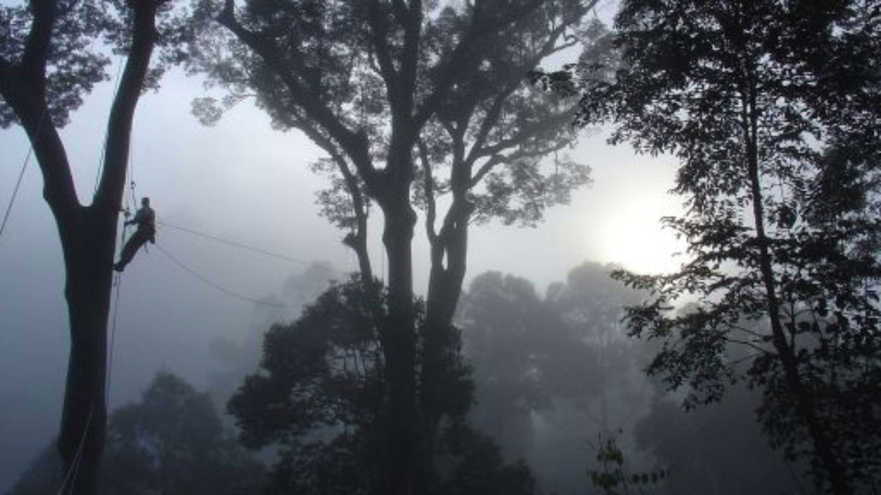 Nature - Season 23 Episode 10 : Deep Jungle: New Frontiers