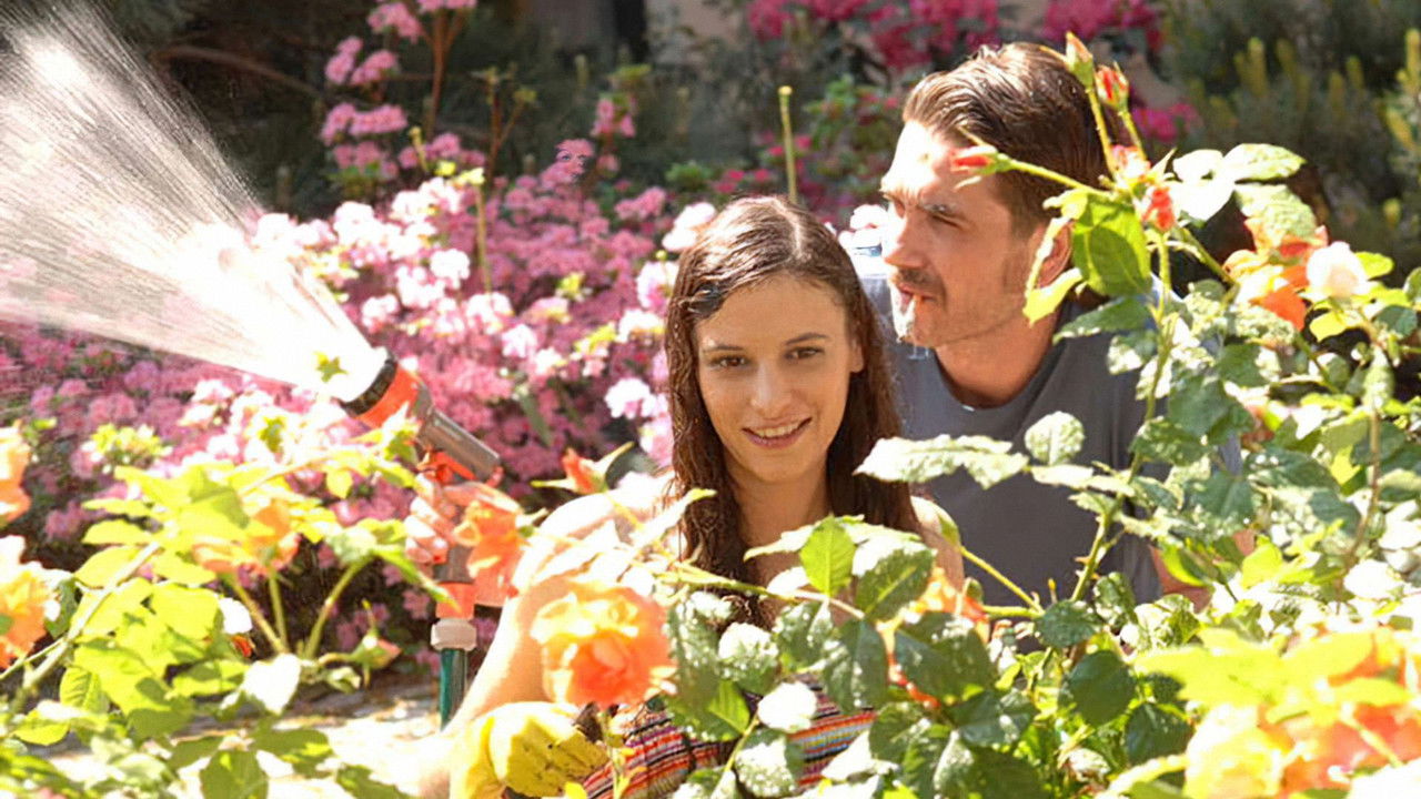 Louise's Garden backdrop