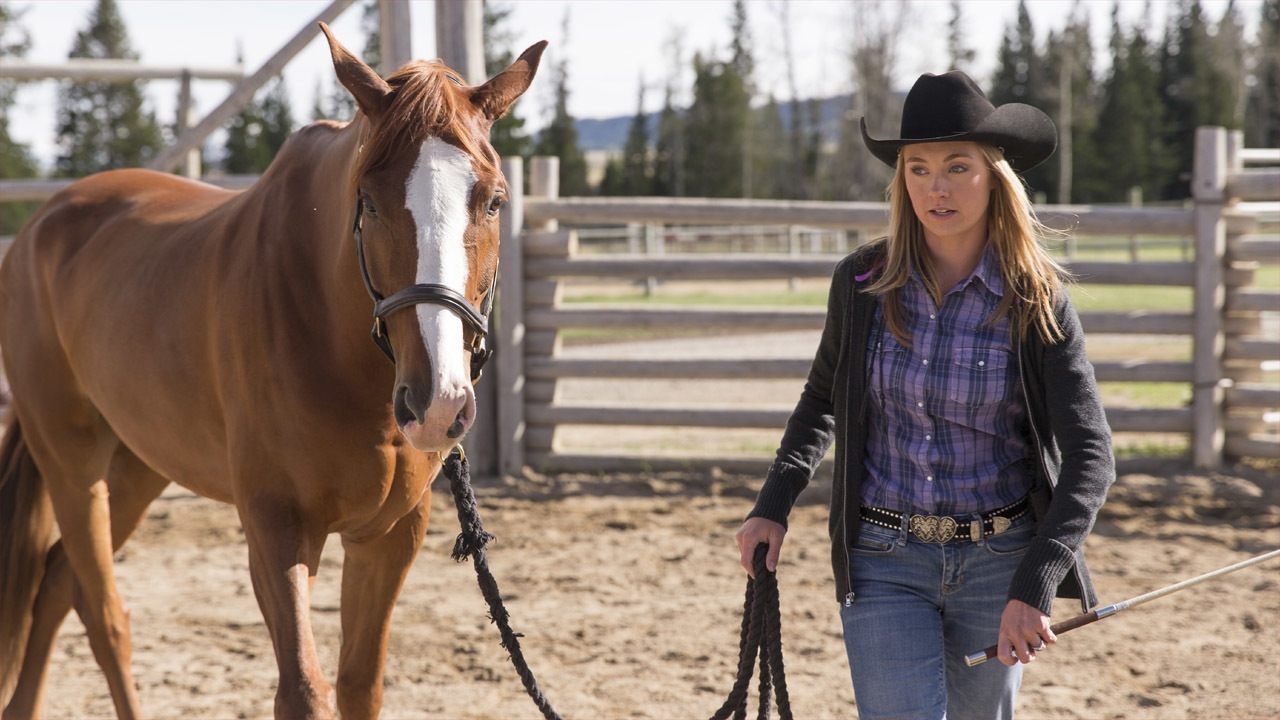 Heartland - Season 7 Episode 1 : Picking Up the Pieces