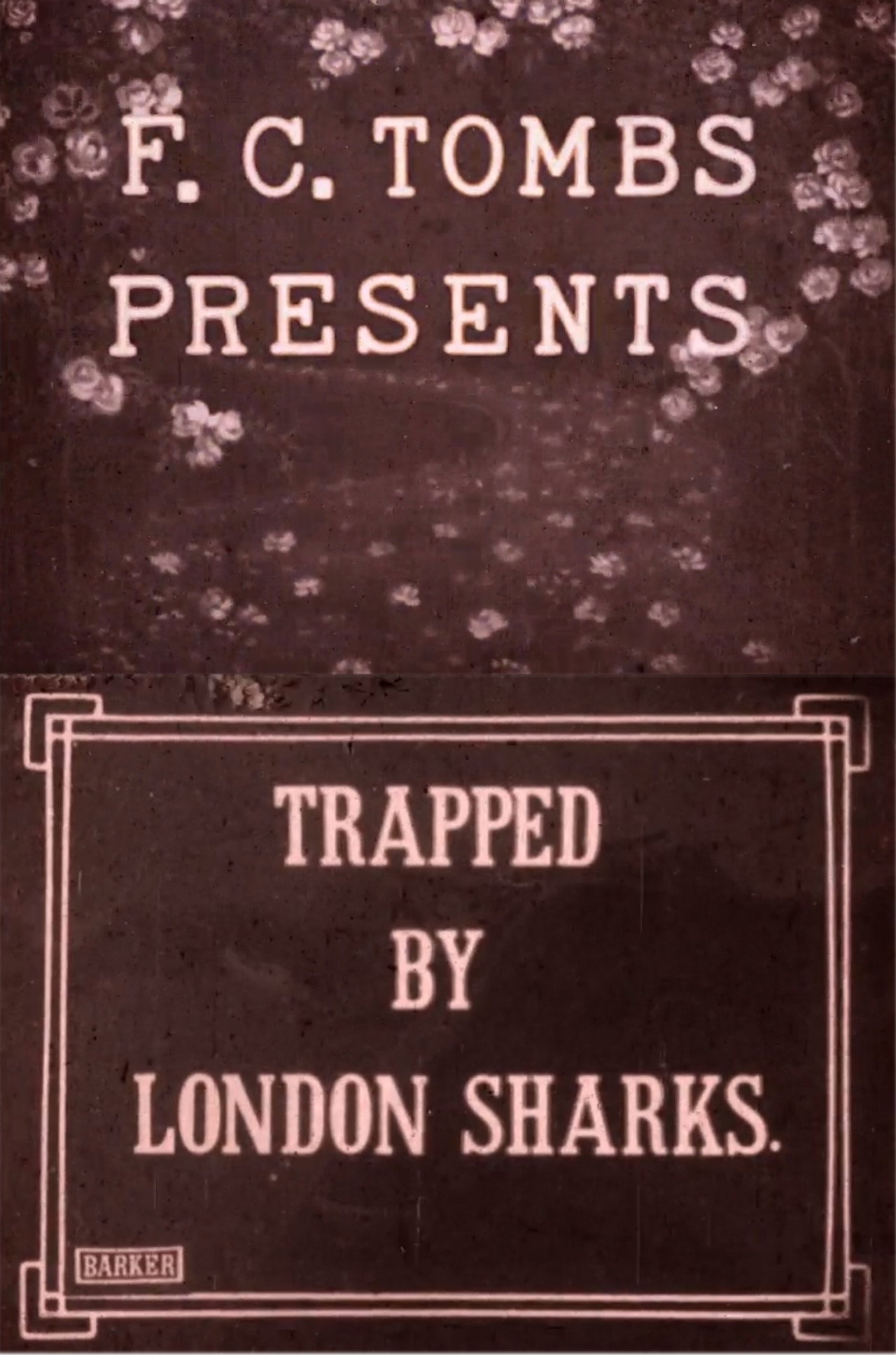 Trapped by London Sharks Backdrop