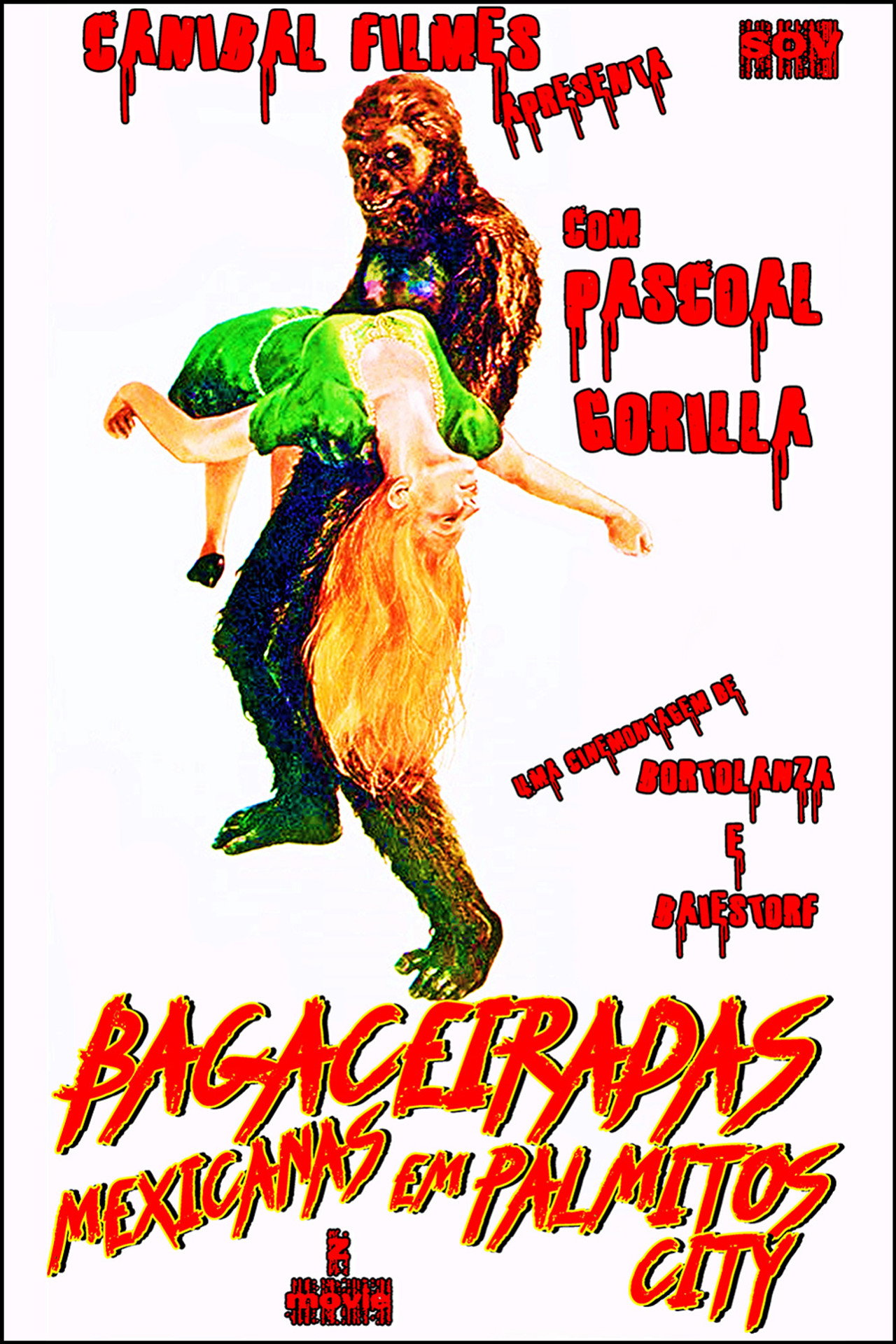 Bagaceiradas Mexicanas em Palmitos City filmaffisch