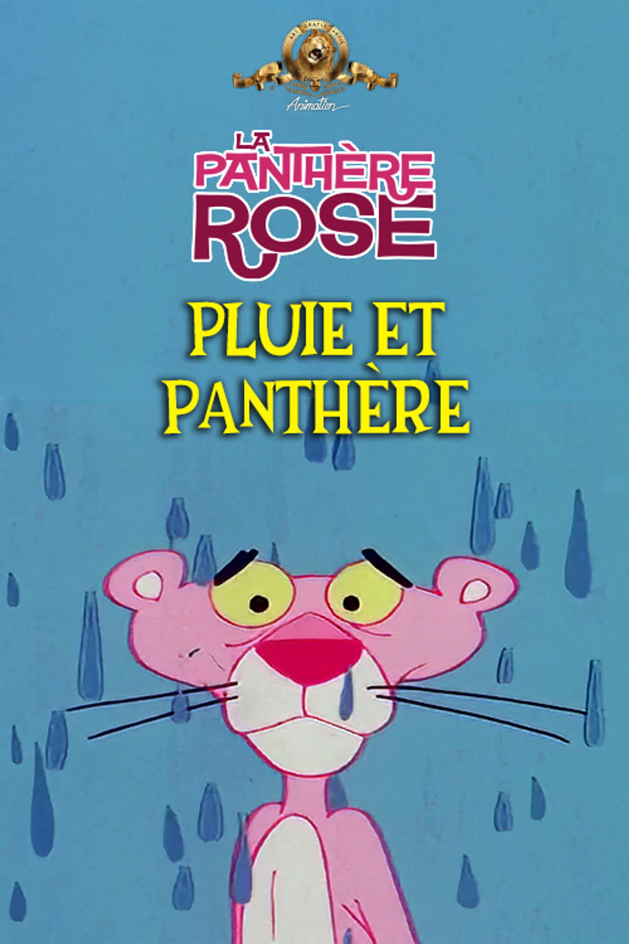 Pluie Et Panthère
