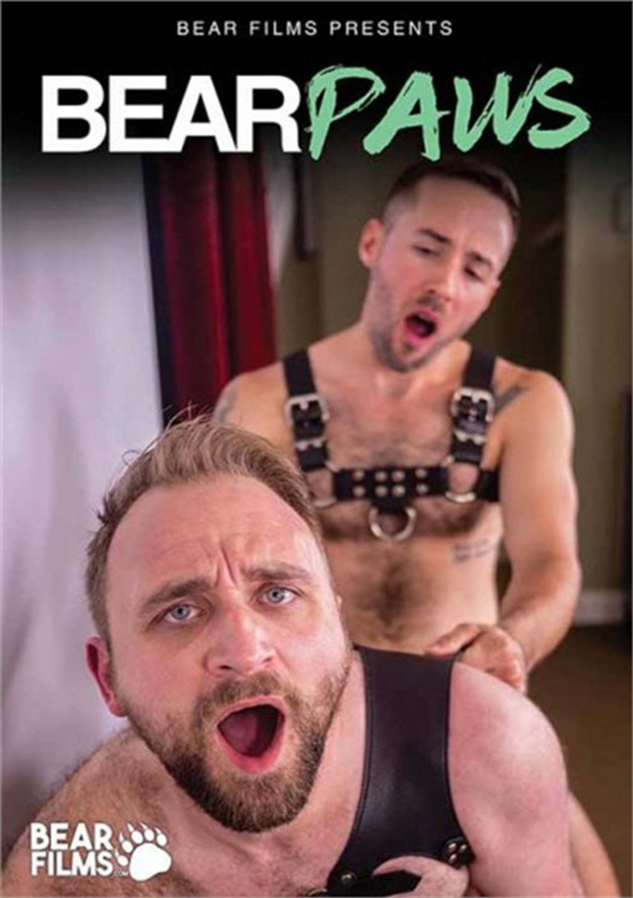 Bear Paws Backdrop