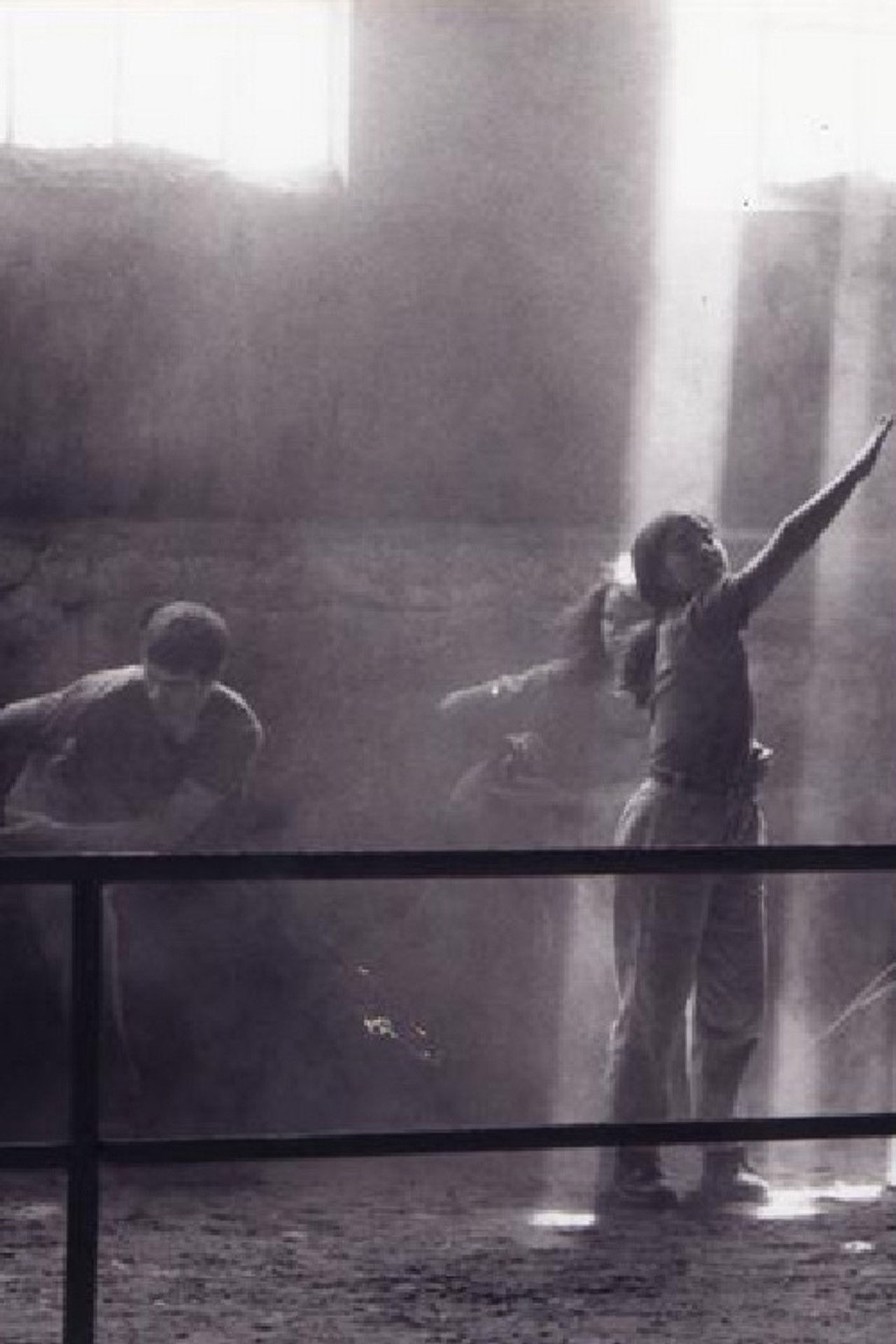 Vertigo Bird Backdrop