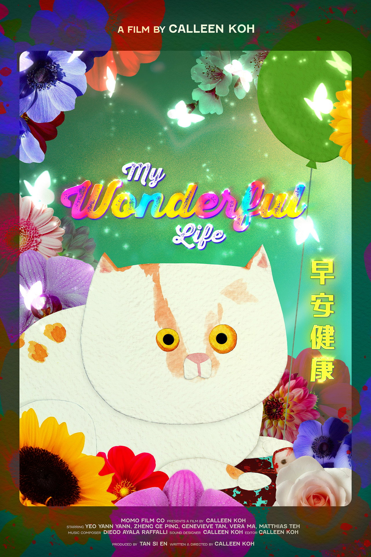 My Wonderful Life filmaffisch