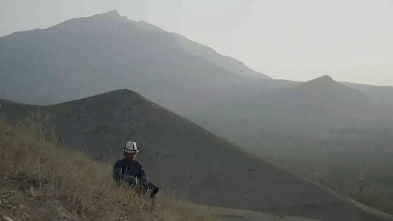 SKYLARK still 3