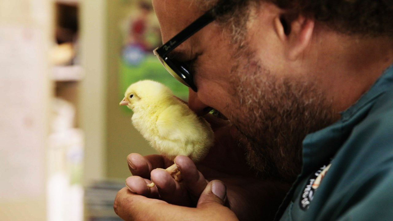 Un chef à la cabane — Épisode 4