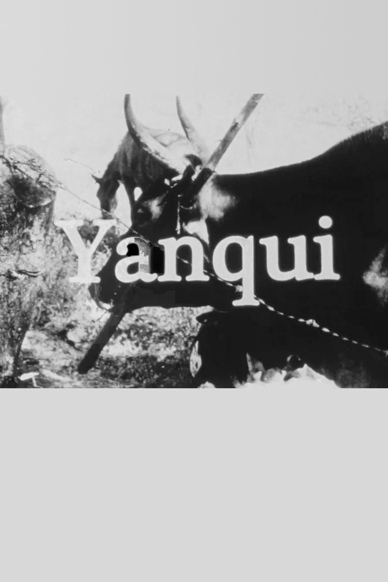 Yanqui WALKER and the OPTICAL REVOLUTION filmaffisch