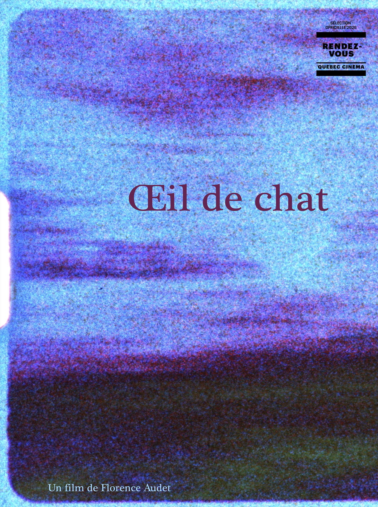 Oeil de chat