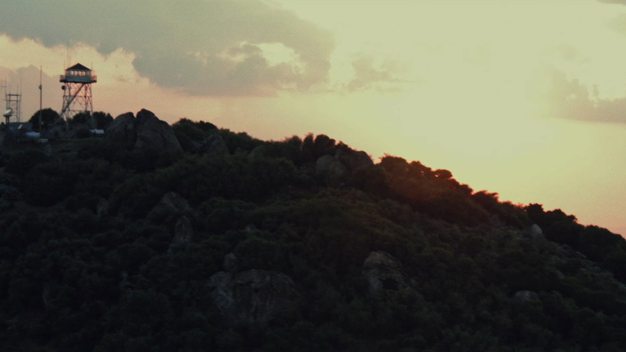 The Lookout