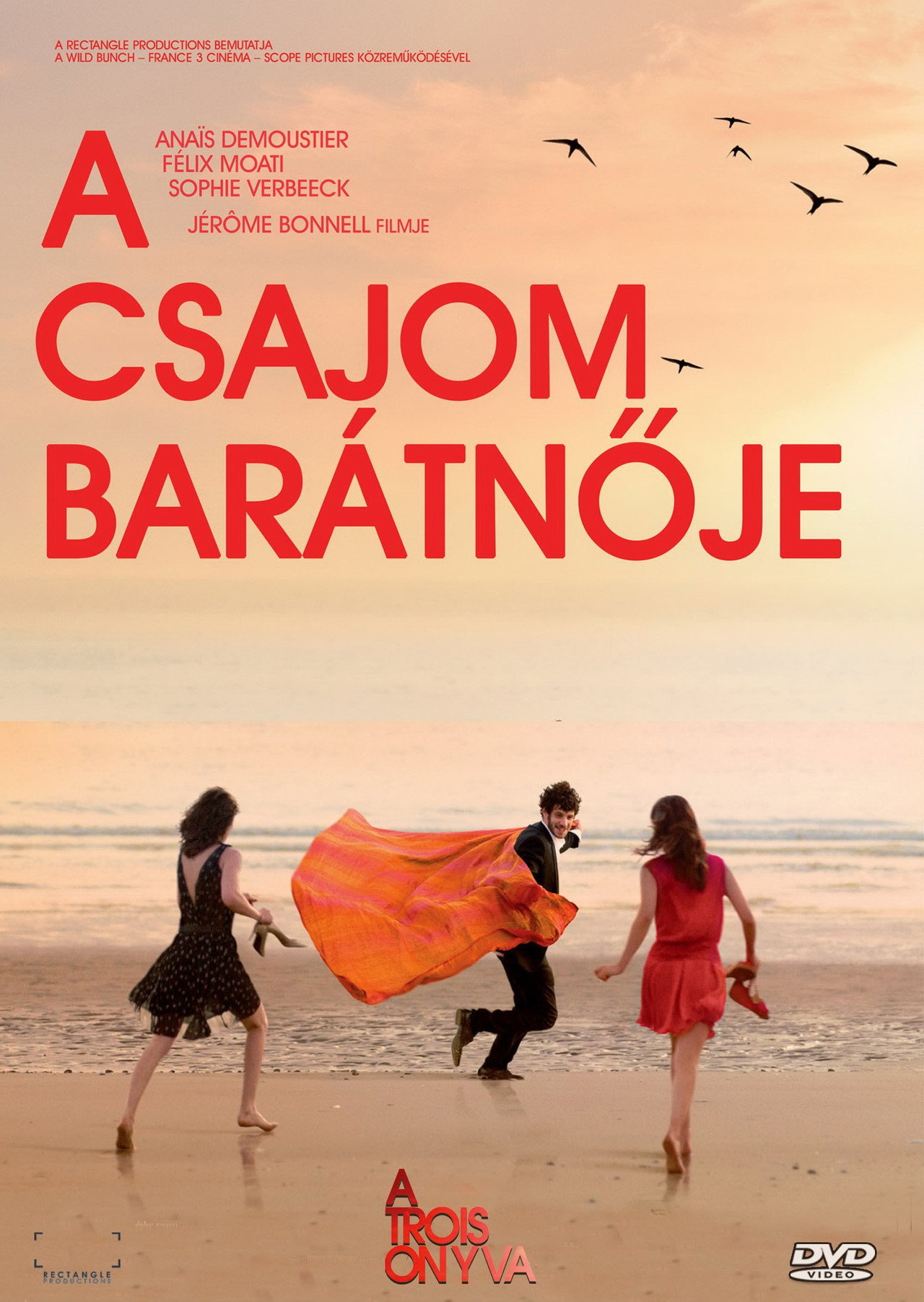 A csajom barátnője – plakát 4