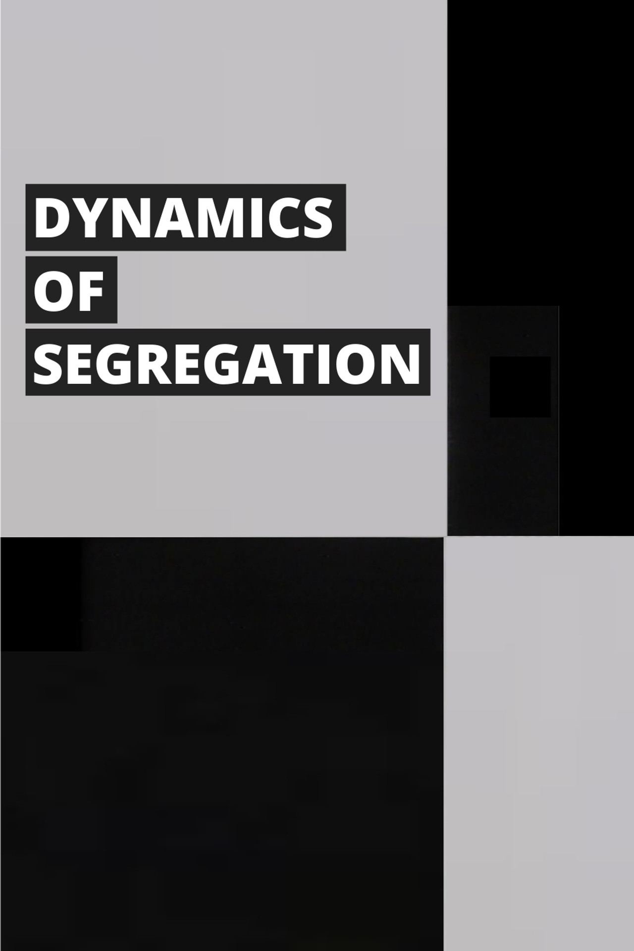 Dynamics of Desegregation poster
