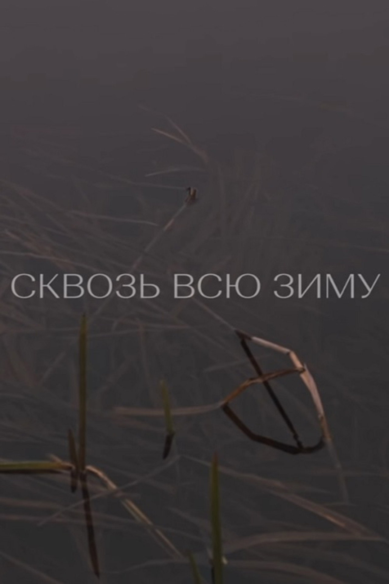 Сквозь всю зиму filmaffisch