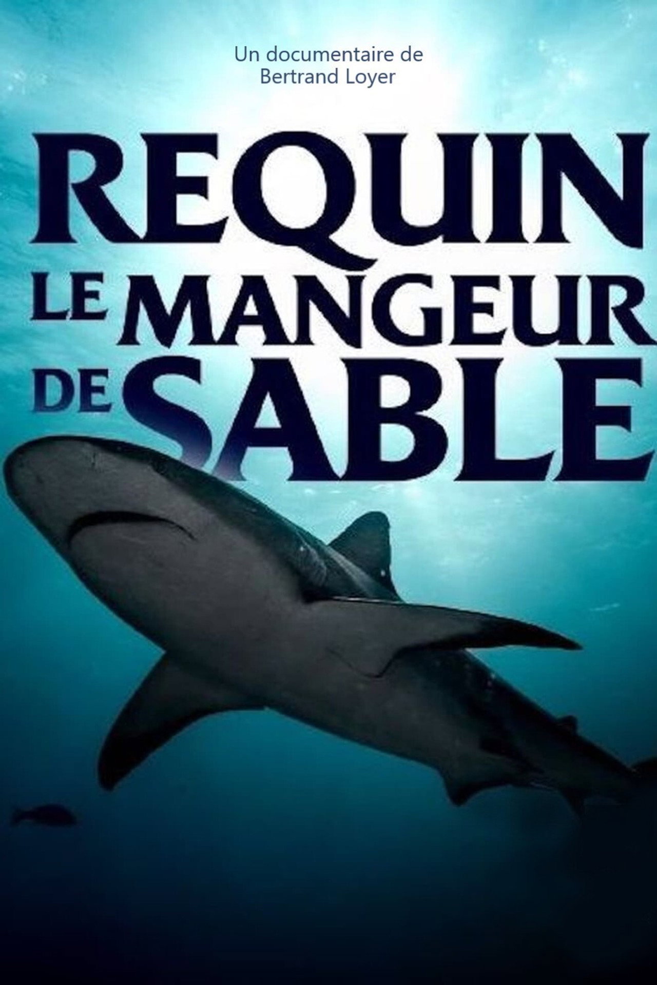 Requin - Le mangeur de sable filmaffisch