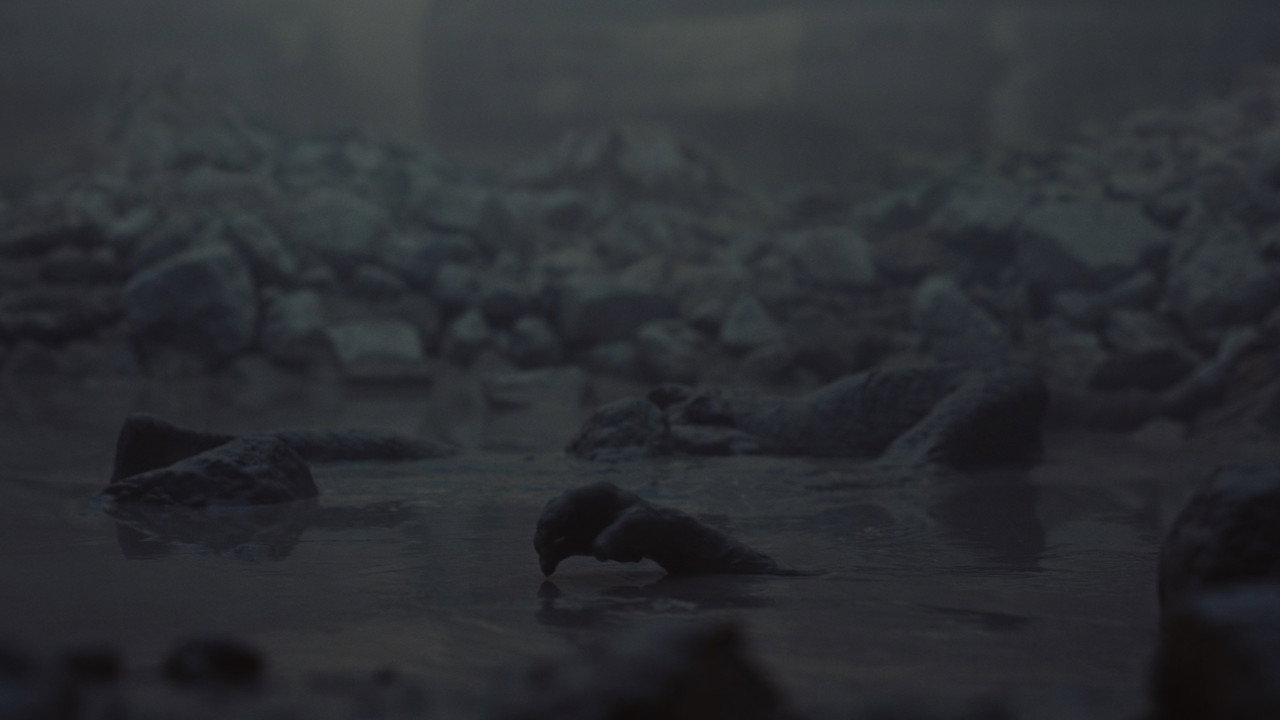 scenes 45