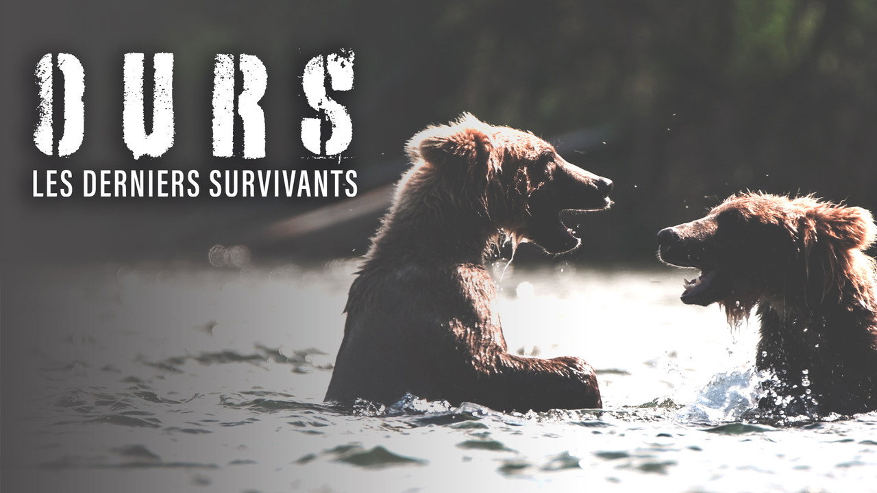 Bears : Ultimate Survivors