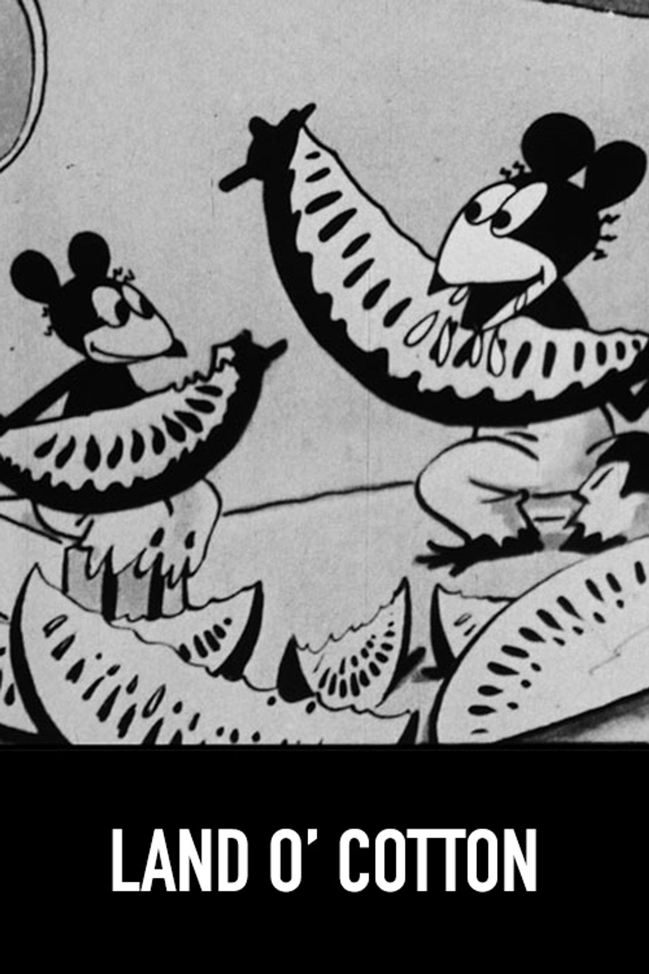 Land o' Cotton Backdrop