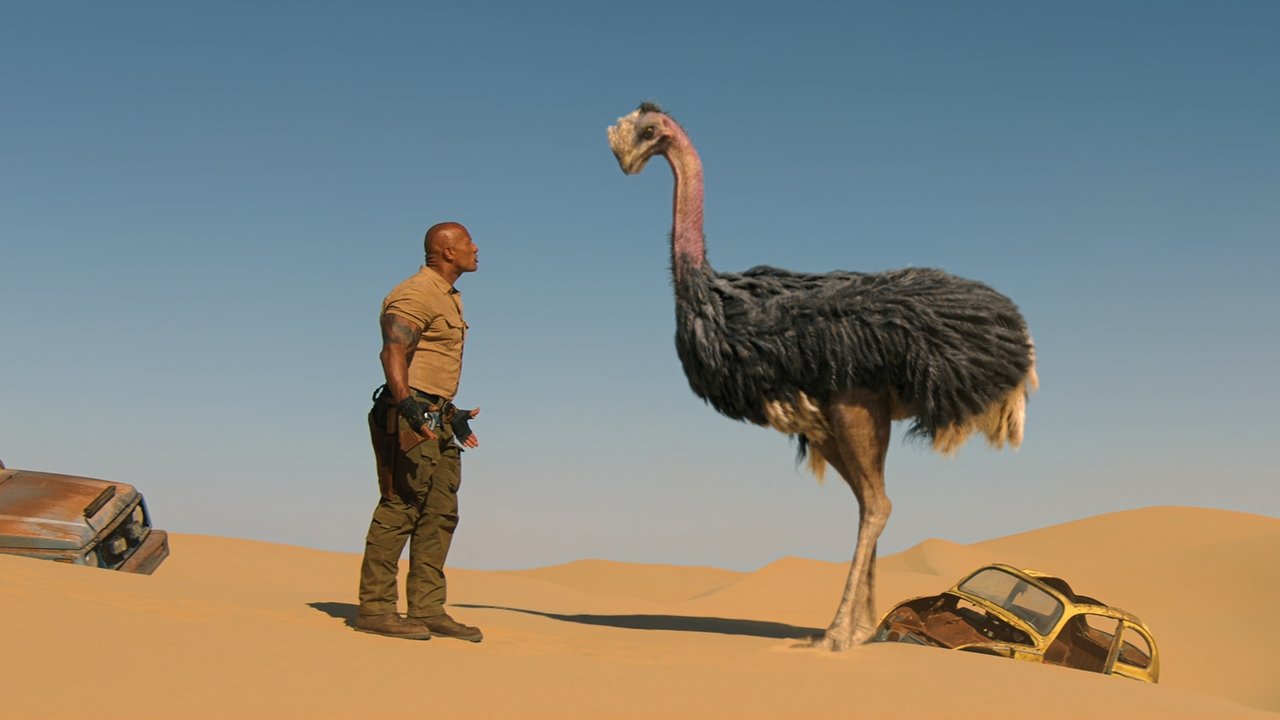 title image