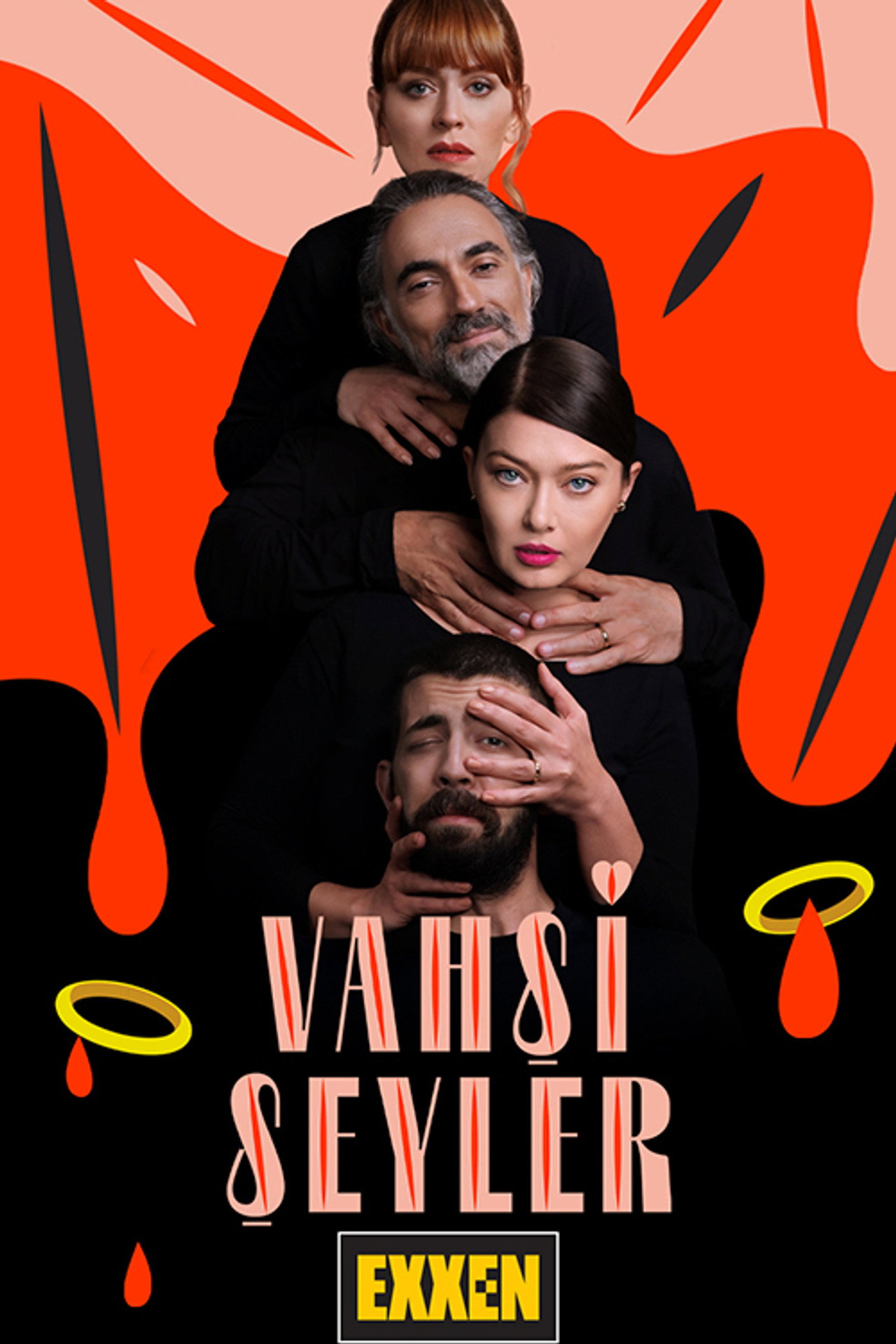 Vahşi Şeyler affisch