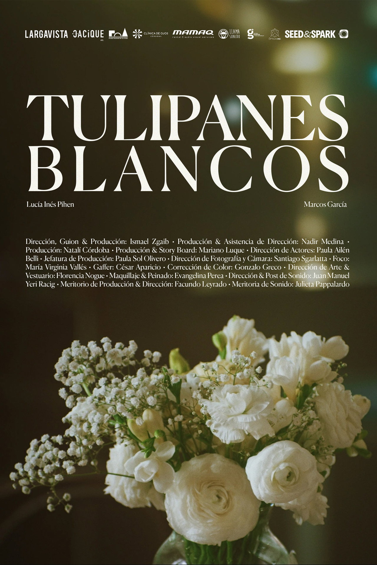 Tulipanes blancos Backdrop