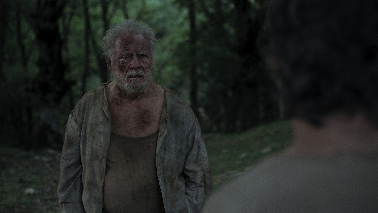 Jastimari - Il rifugio backdrop