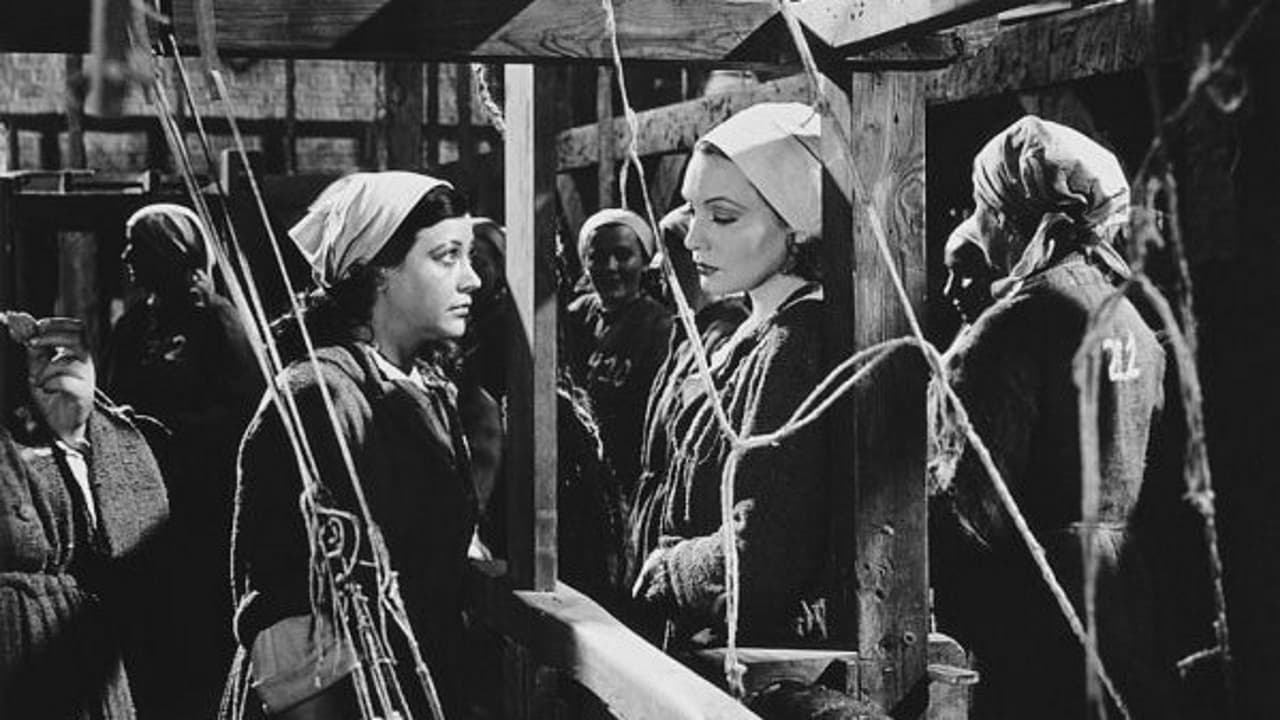 Zu neuen Ufern | Film 1938 | Moviebreak.de