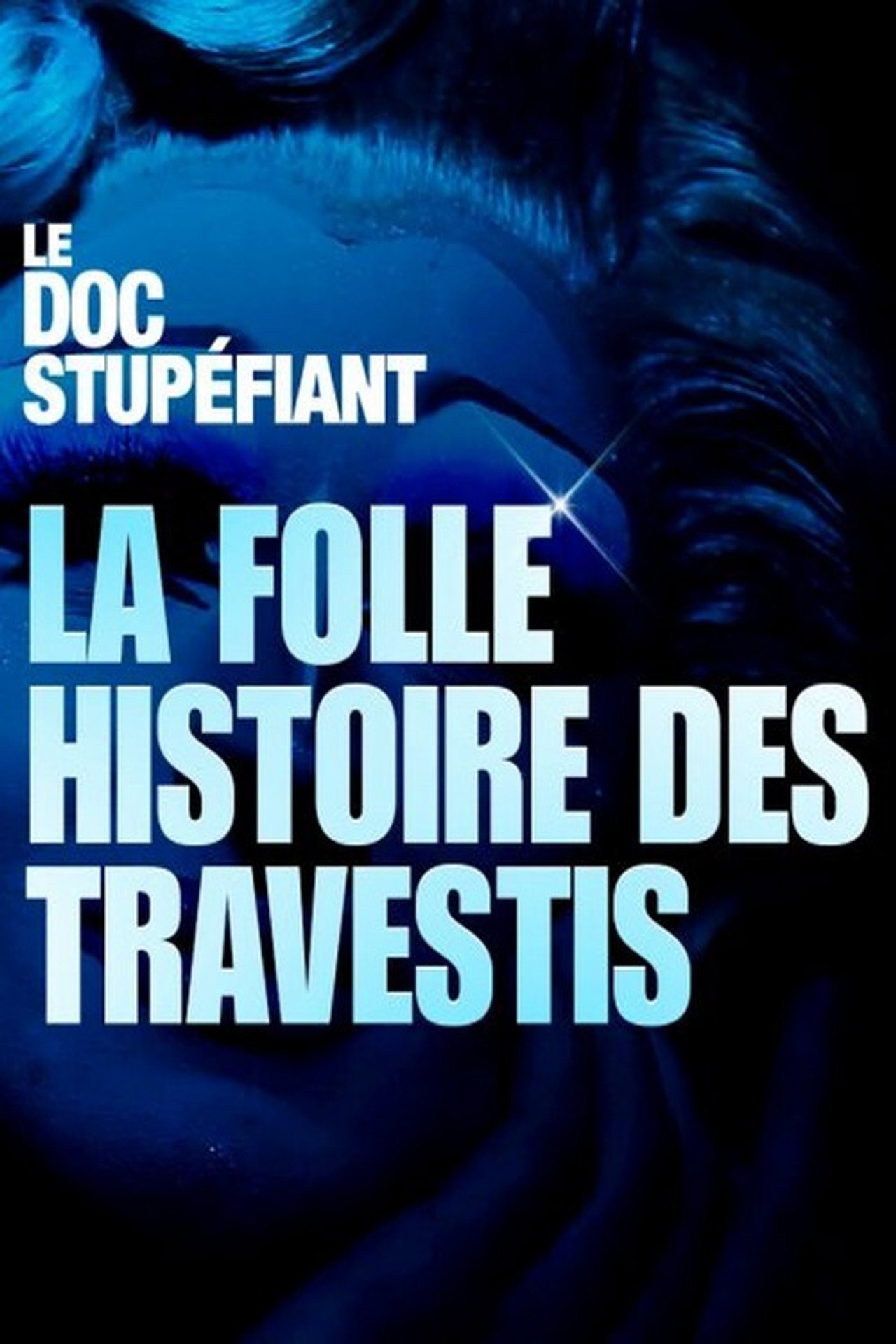 La folle histoire des travestis filmaffisch