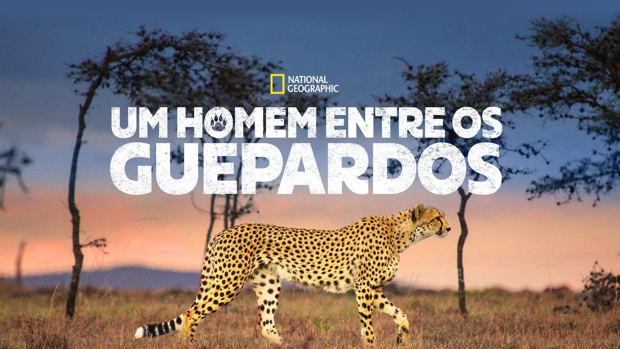 title image