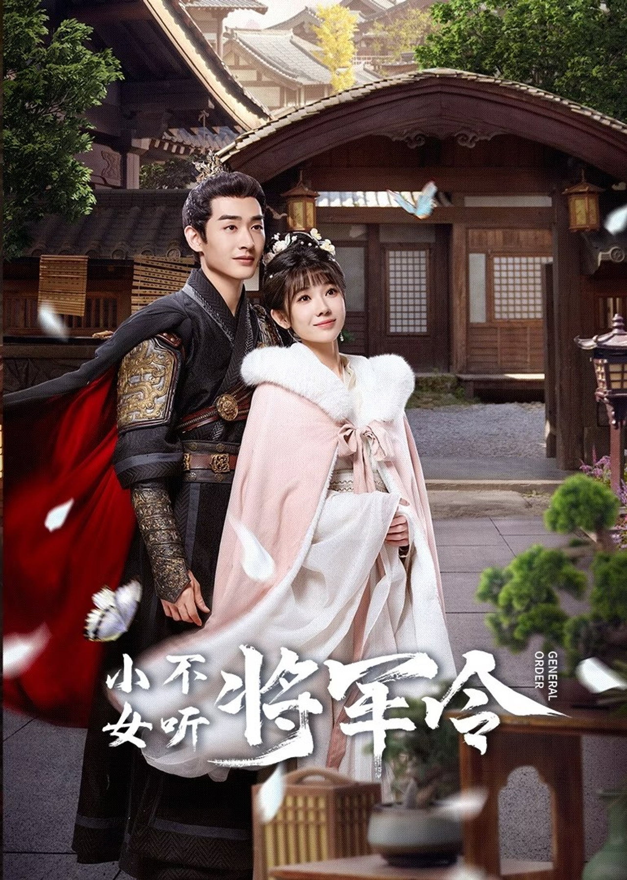 小女不听将军令 affisch