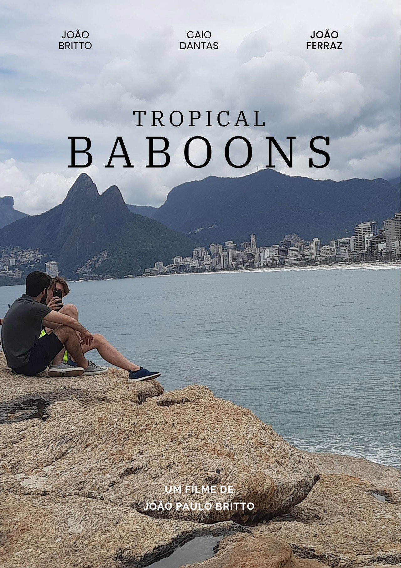 Tropical baboons Backdrop