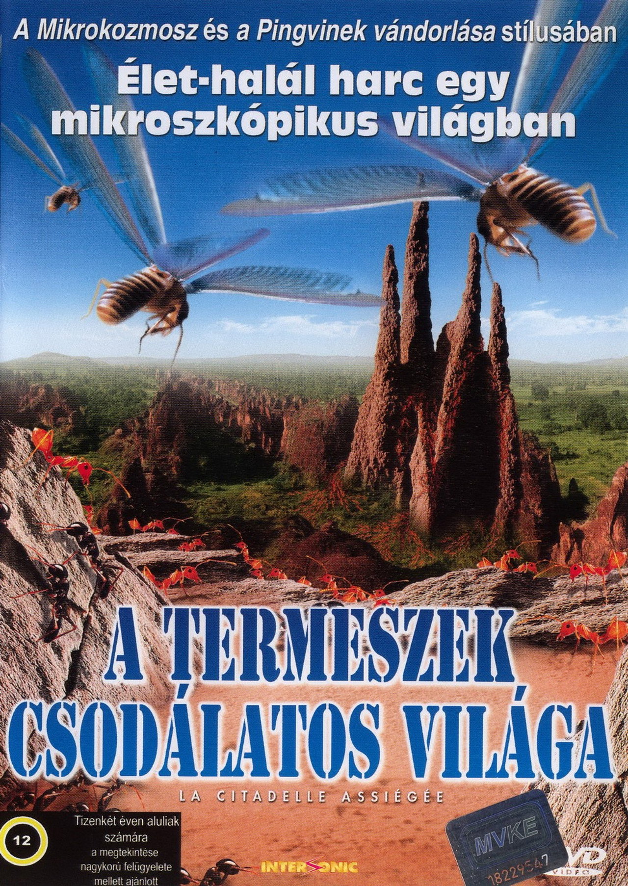 A termeszek csodálatos világa – plakát 4