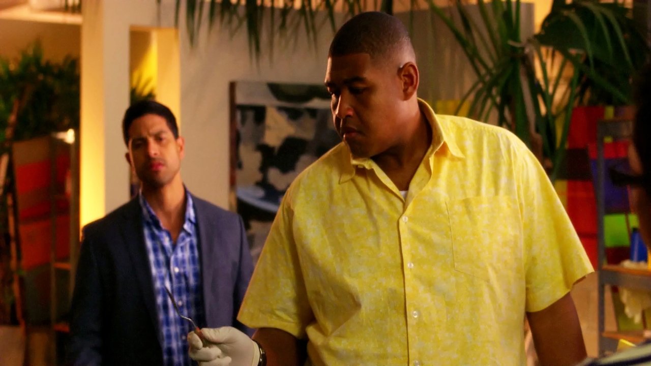 CSI: Miami - Season 9 Episode 20 : Paint It Black