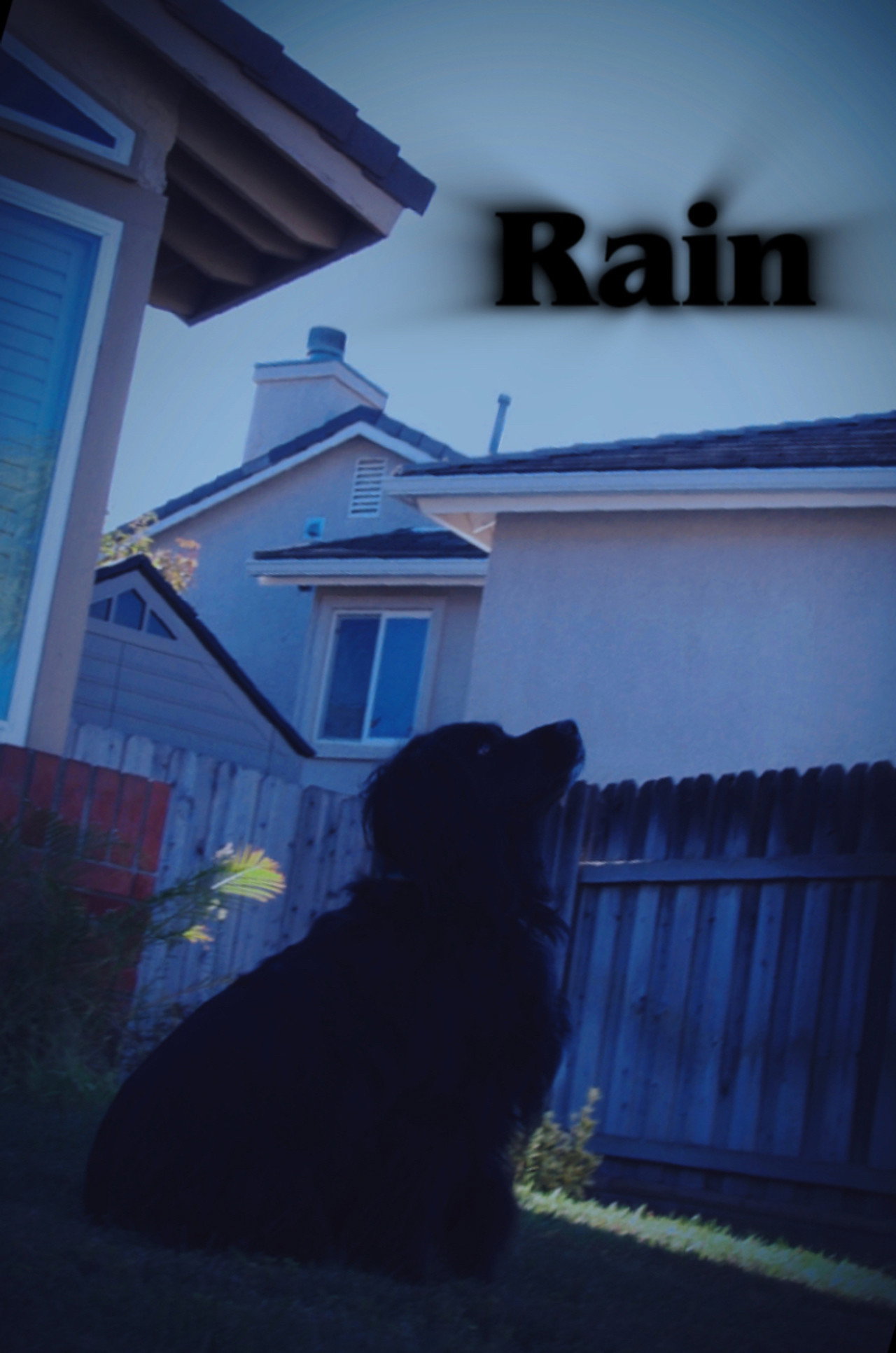 Rain filmaffisch