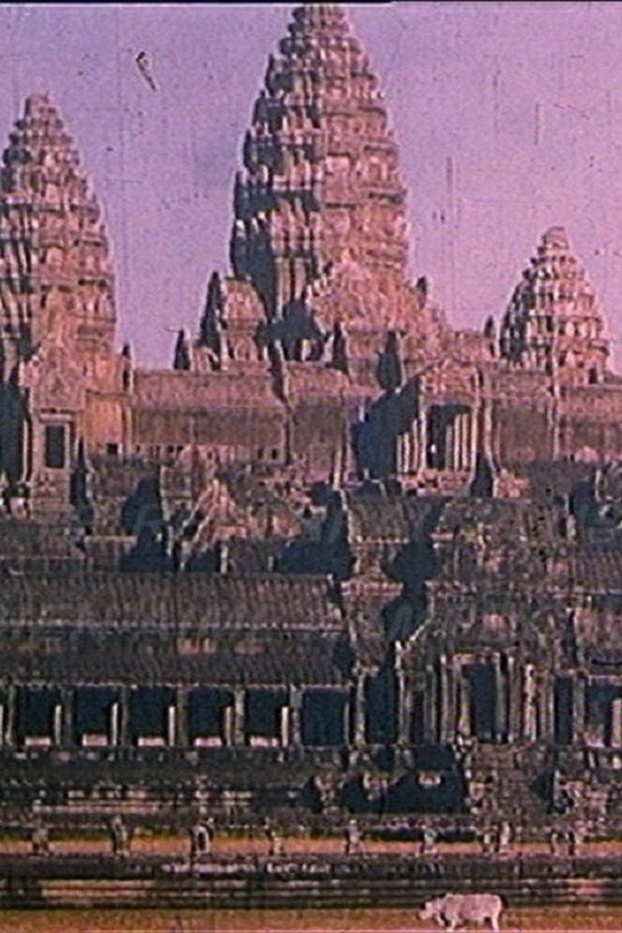 Je ne te reverrai plus, ô mon bien-aimé Kampuchea! filmaffisch