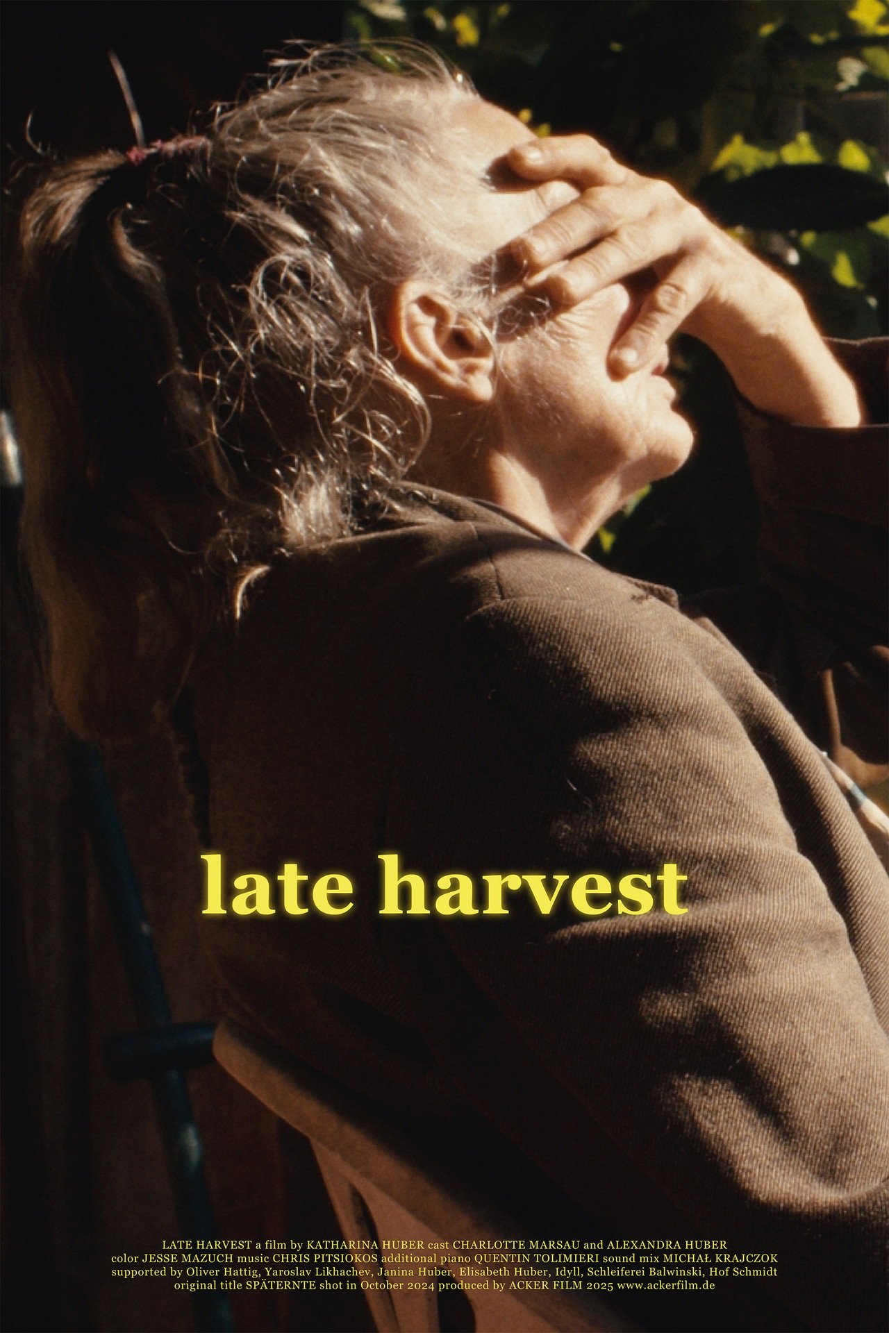 Late Harvest Backdrop