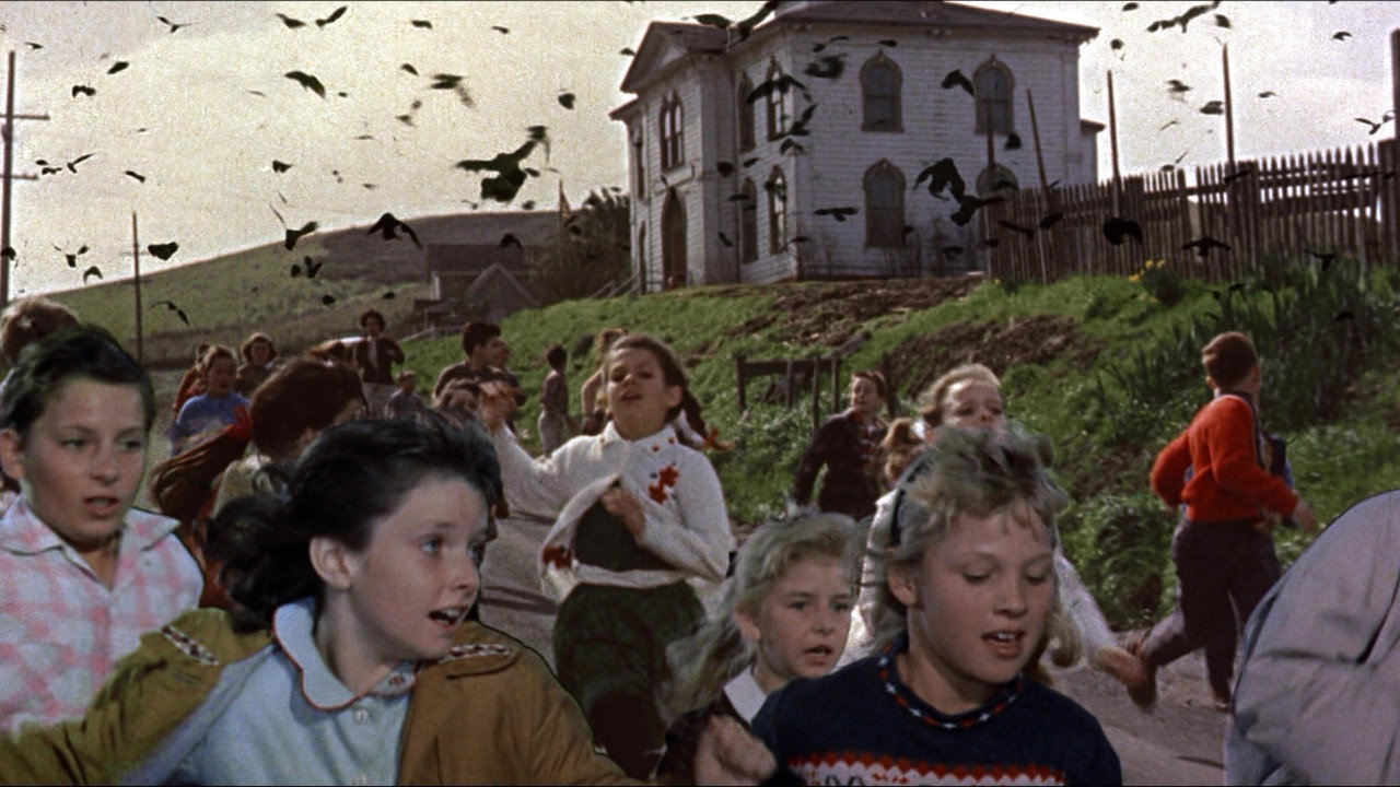 The Birds background 76