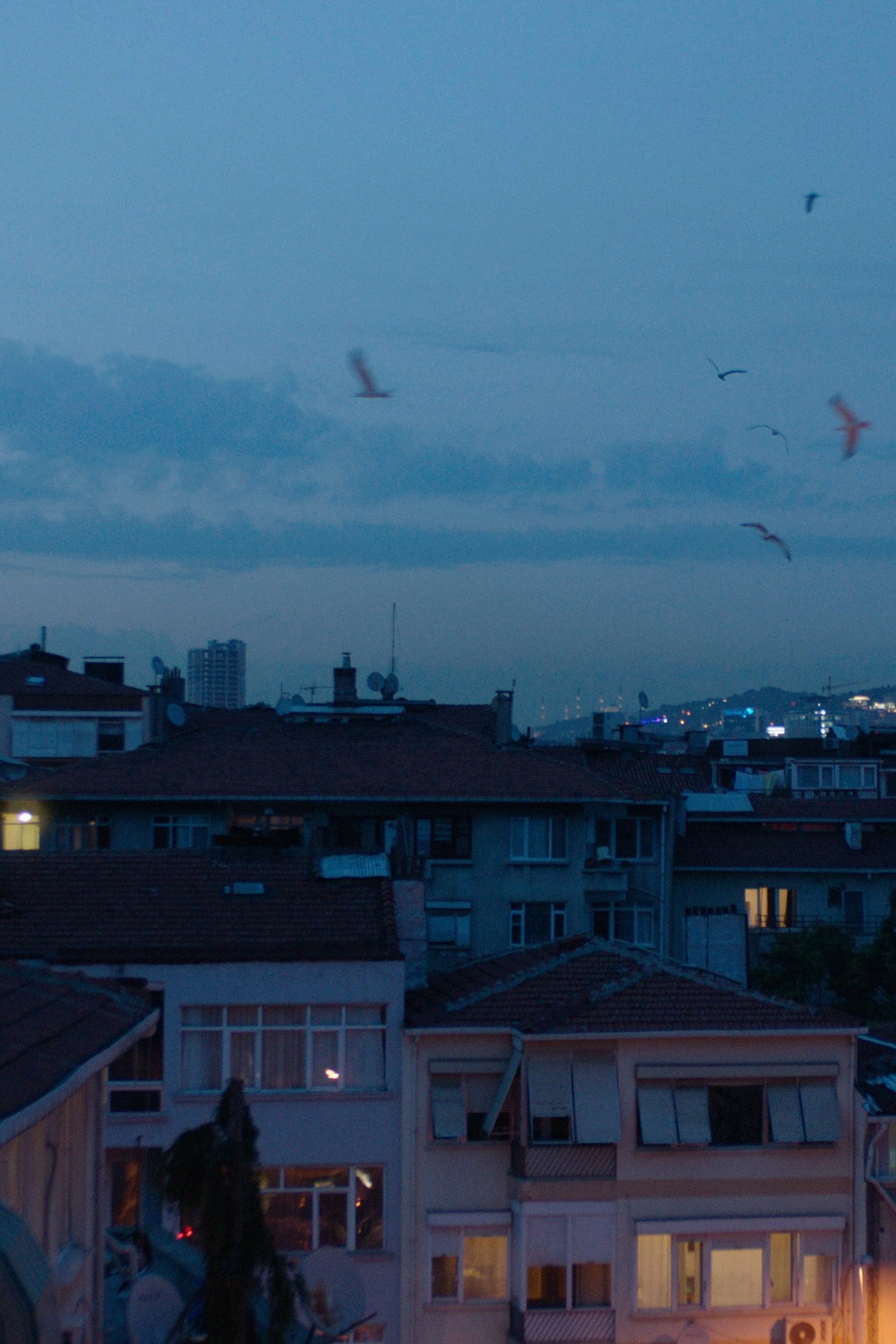 Deceptive Depths Backdrop