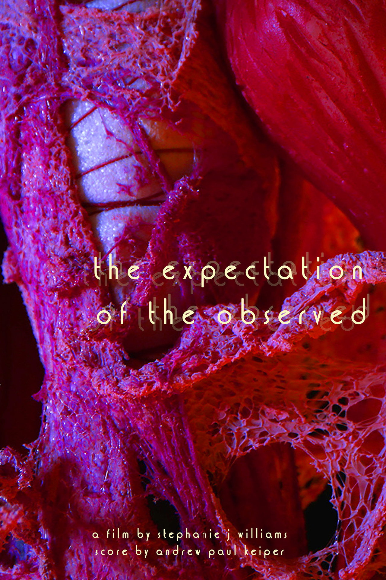 The Expectation of the Observed filmaffisch