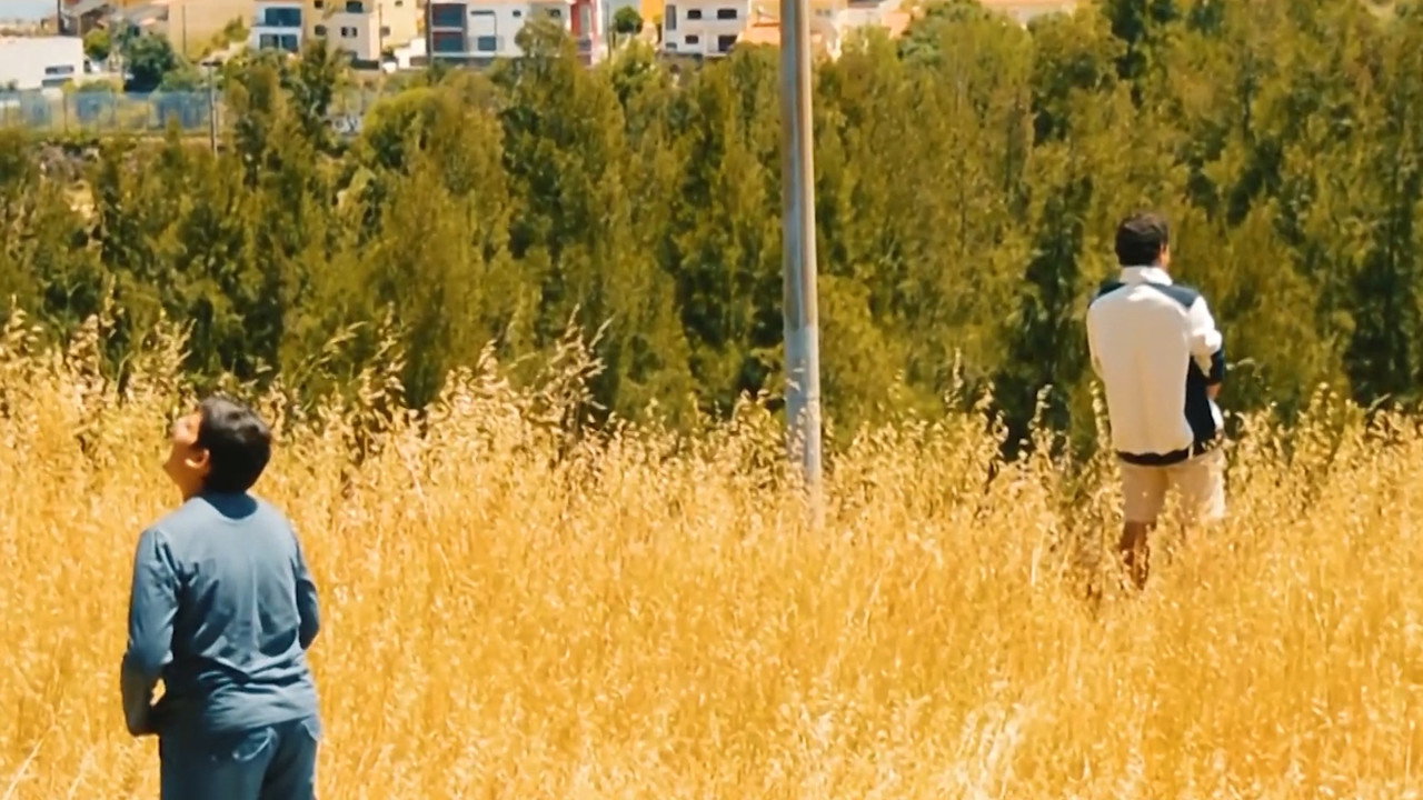 Brother still 2