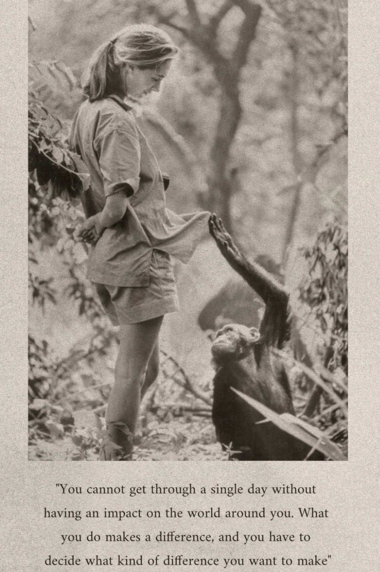 Híres utolsó szavak: Dr. Jane Goodall – plakát 4