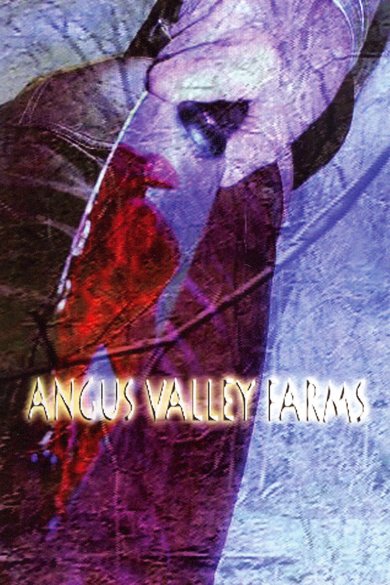 Angus Valley Farms Backdrop