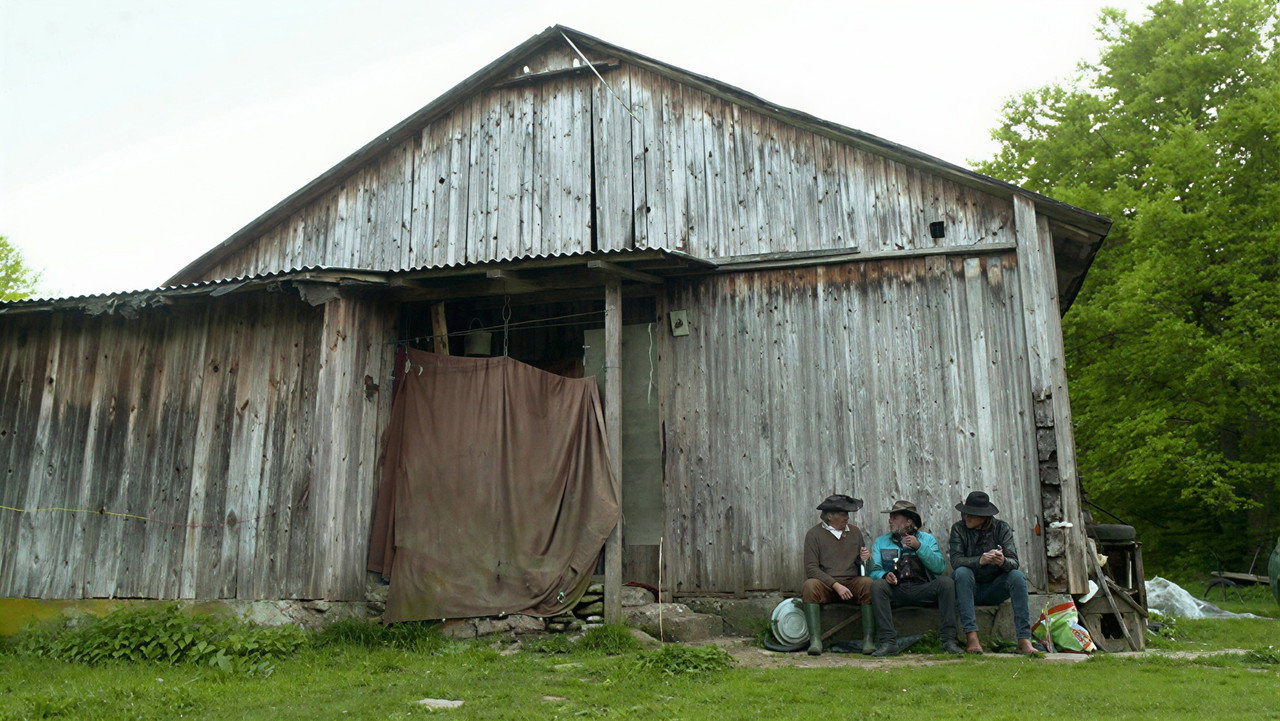 scenes 5