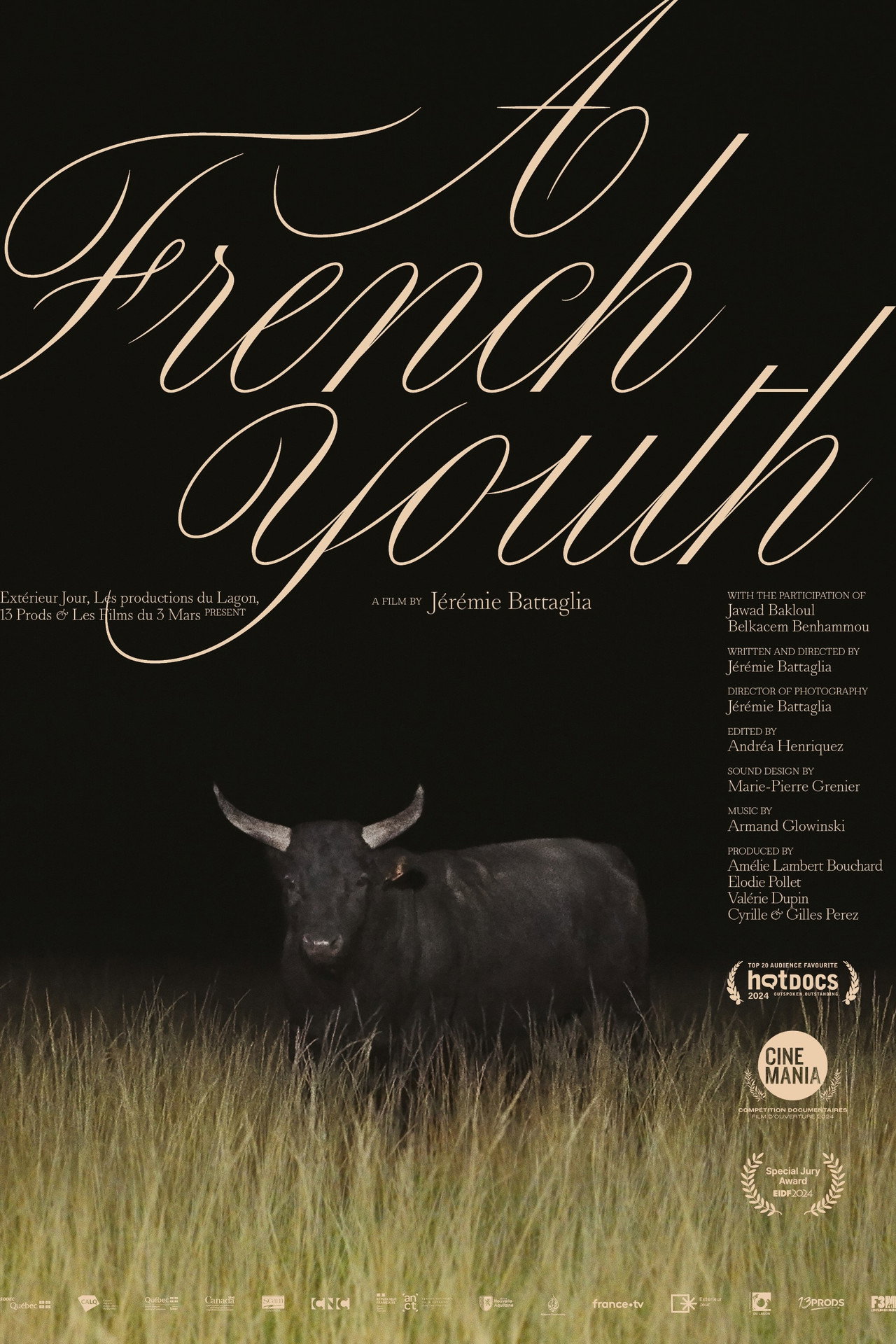 A French Youth
