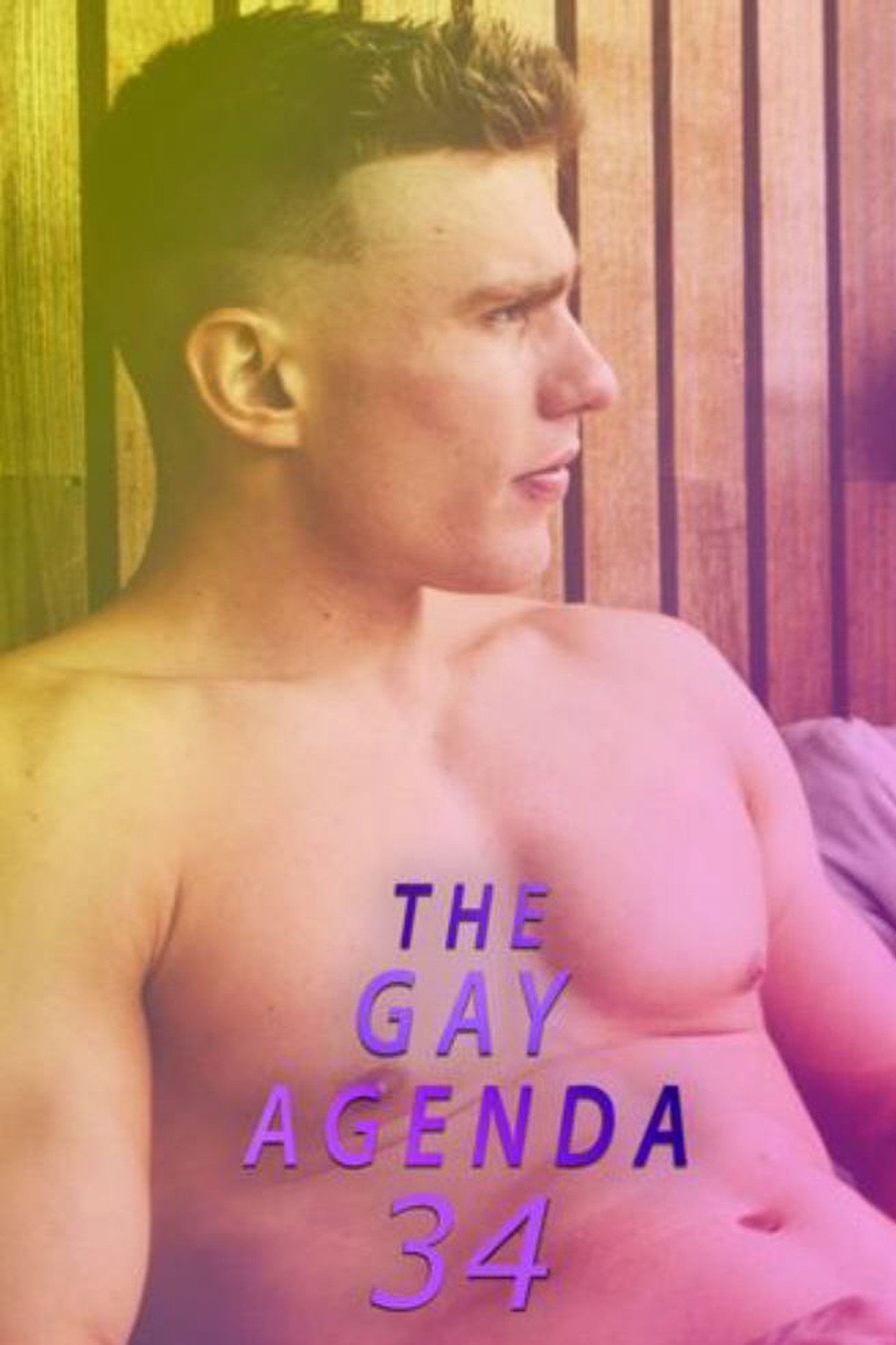 The Gay Agenda 34 filmaffisch