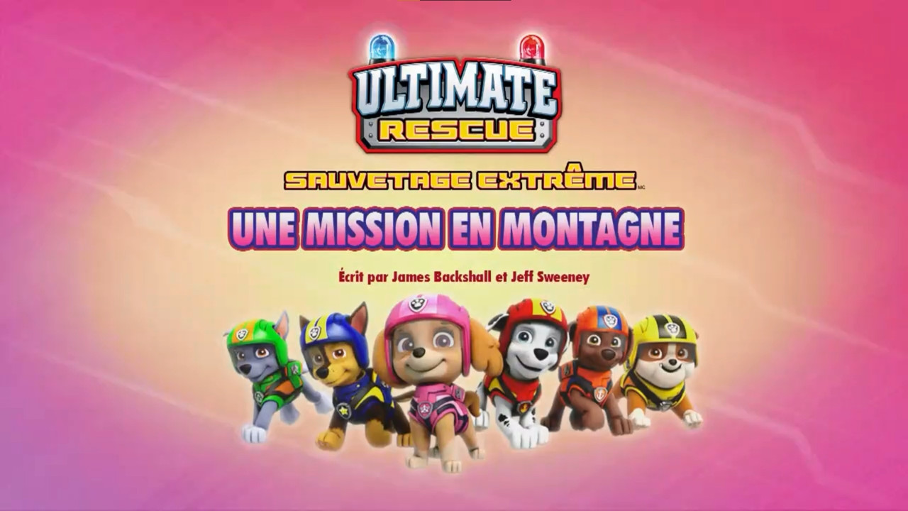 Sauvetage Extrême : Une Mission en montagne