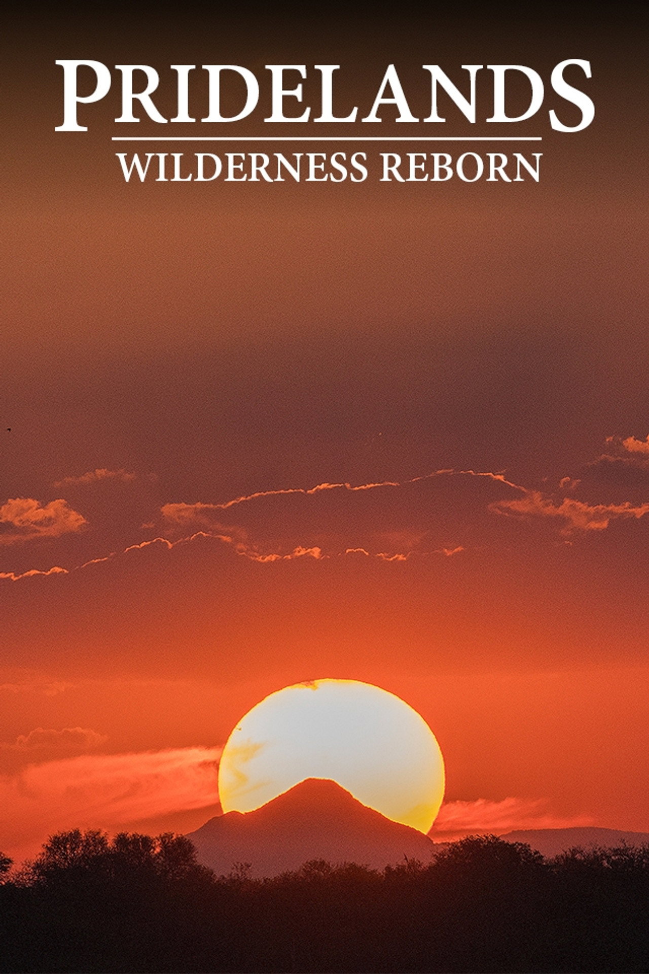 Pridelands: Wilderness Reborn poster