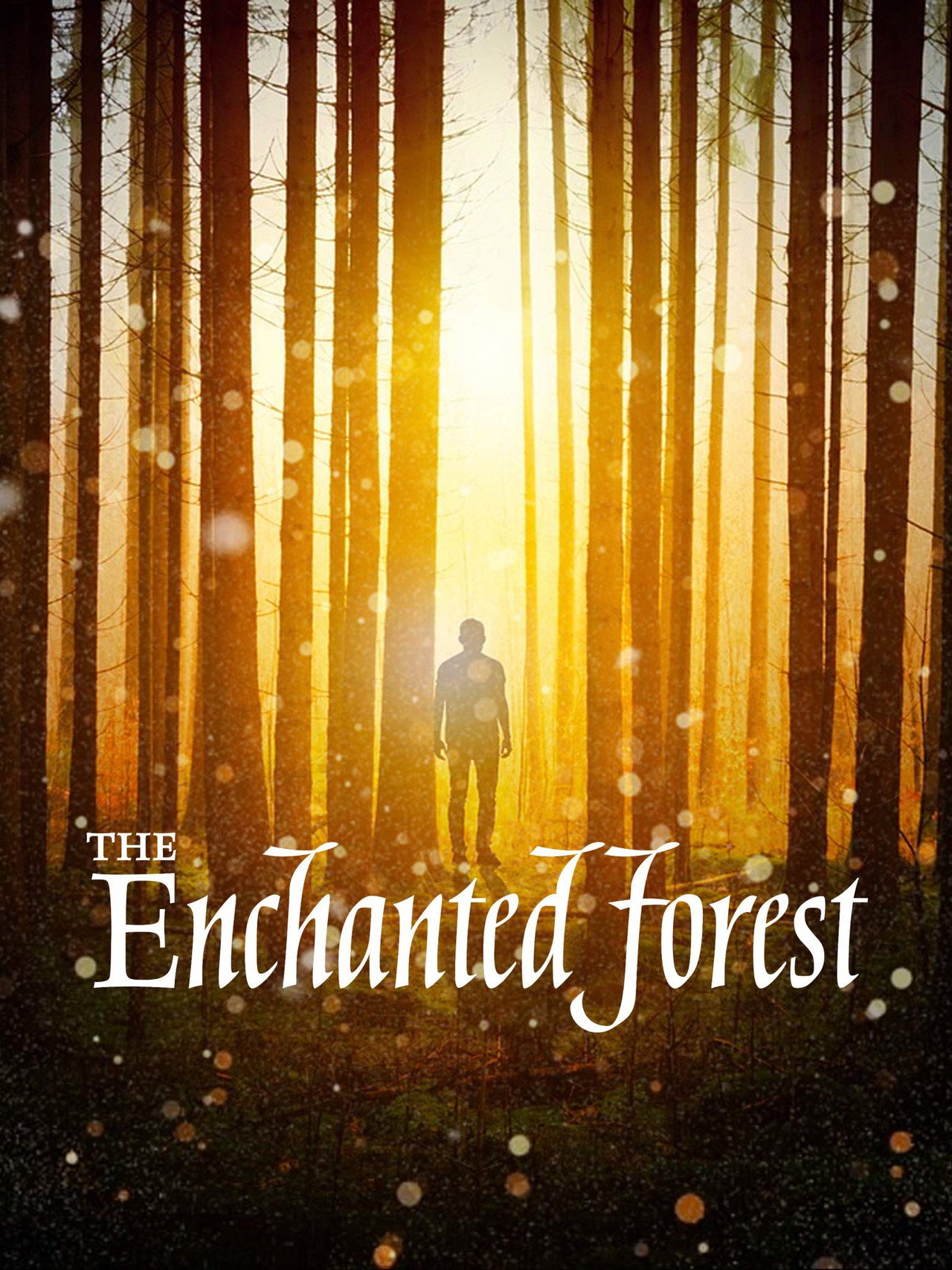 The Enchanted Forest Backdrop