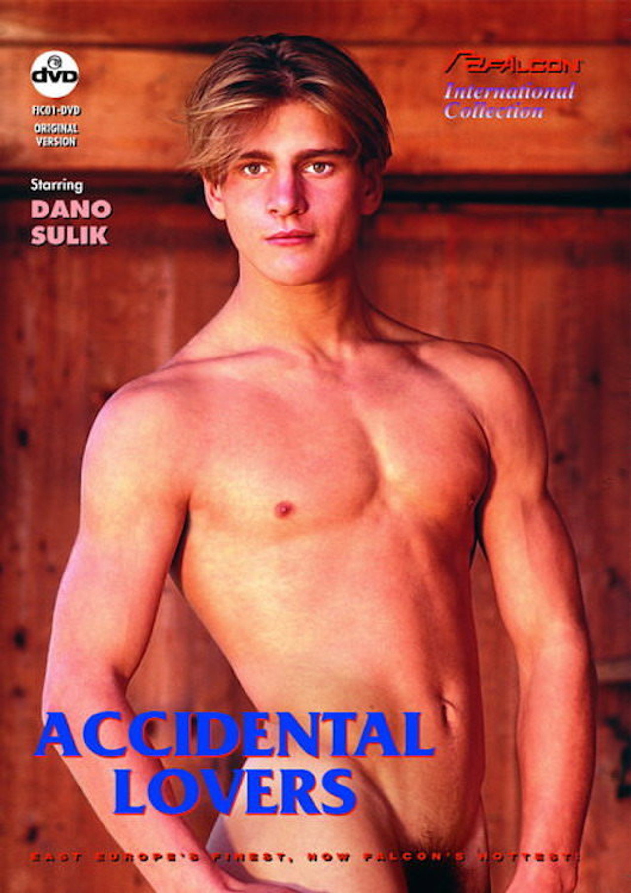 Accidental Lovers filmaffisch