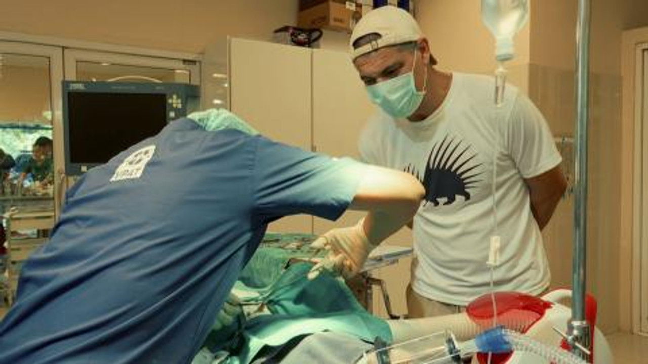 Wild Frank — Épisode 2