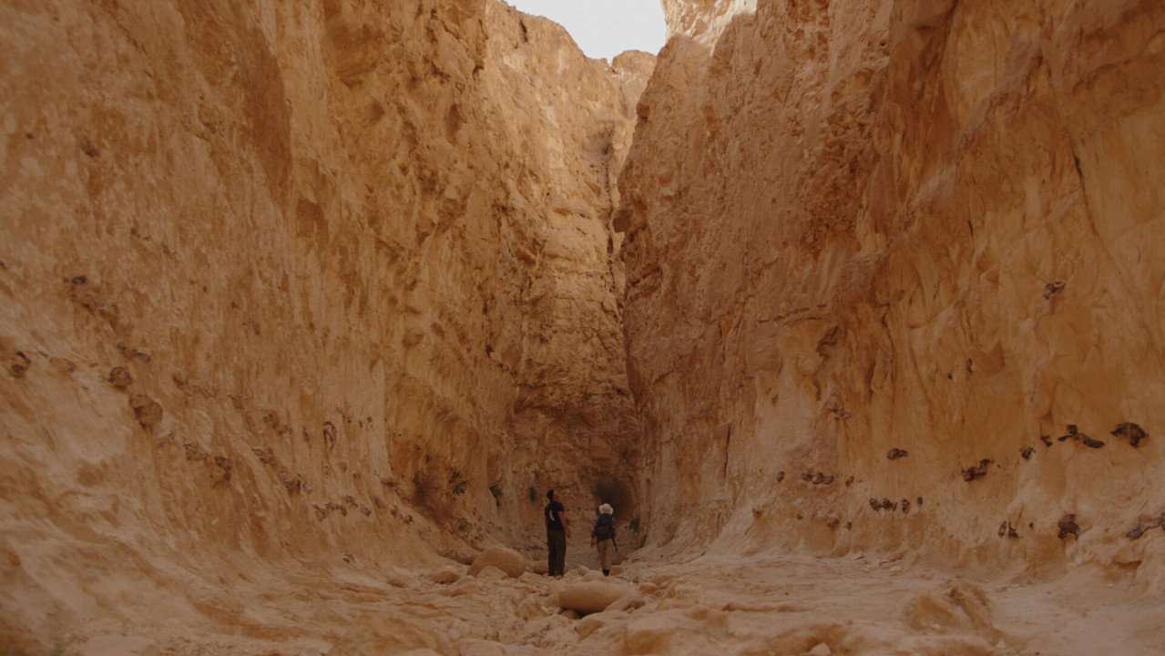 Galgalim still 2